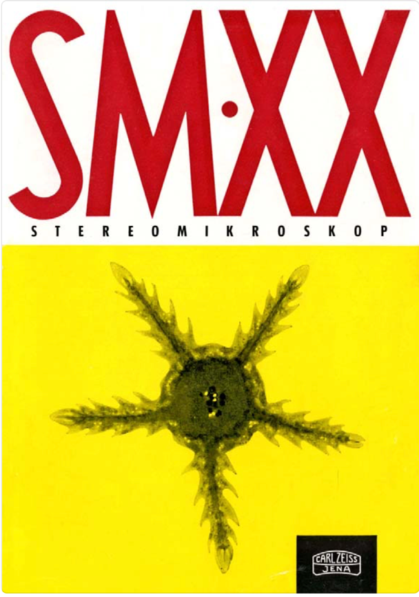 A cover of a magazine
Description automatically generated