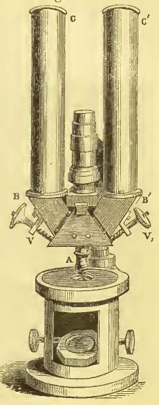 A picture containing text, wall, indoor, old
Description automatically generated