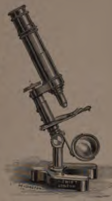 A picture containing indoor
Description automatically generated