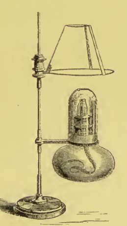 A picture containing text
Description automatically generated