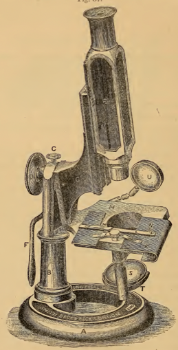 A picture containing indoor, old
Description automatically generated