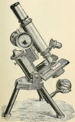 A picture containing old
Description automatically generated