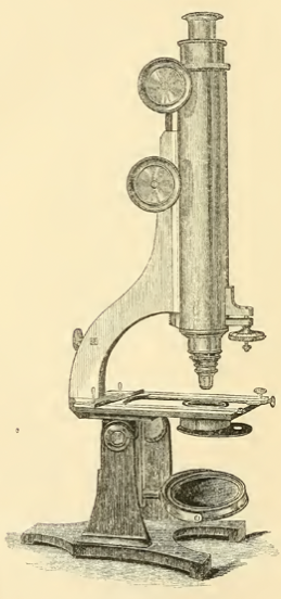 A picture containing text, wall, indoor, old
Description automatically generated