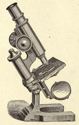 A picture containing text
Description automatically generated