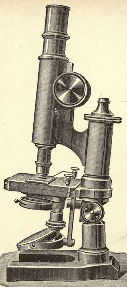 A picture containing old
Description automatically generated