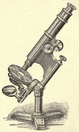 A picture containing old
Description automatically generated