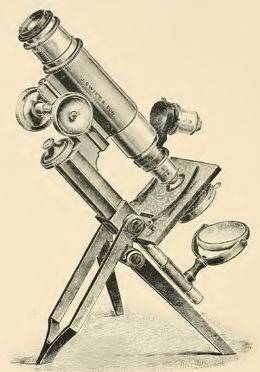 A picture containing object
Description automatically generated