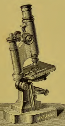 A picture containing wall, indoor, old, gear
Description automatically generated