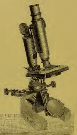 A picture containing old
Description automatically generated