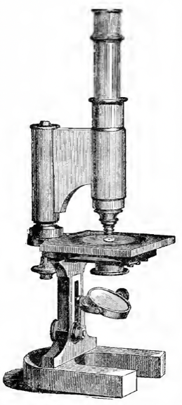 A picture containing indoor, old
Description automatically generated