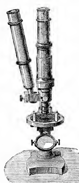 A picture containing old
Description automatically generated