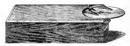 A picture containing text, outdoor, ground
Description automatically generated