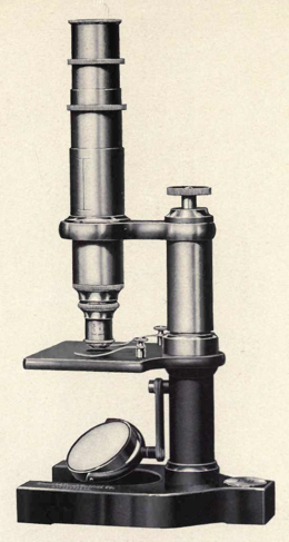 A picture containing wall, indoor
Description automatically generated