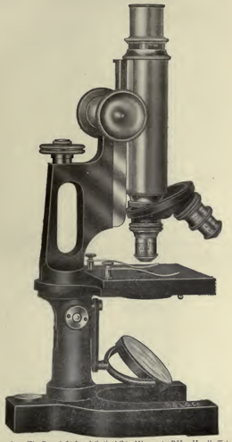 A picture containing wall, old
Description automatically generated