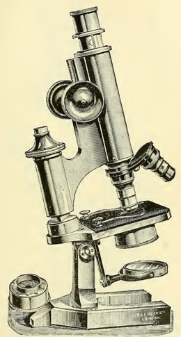 A picture containing indoor, old
Description automatically generated