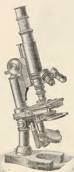 A picture containing indoor, old
Description automatically generated