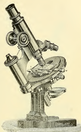 A picture containing old
Description automatically generated