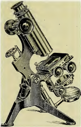 A picture containing text, object
Description automatically generated