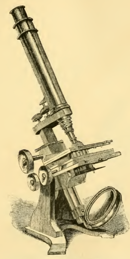 A picture containing weapon
Description automatically generated
