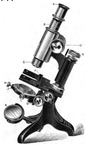 A close-up of a hand holding an object
Description automatically generated with medium confidence