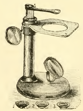 A picture containing text
Description automatically generated