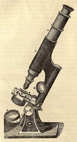 A picture containing text
Description automatically generated
