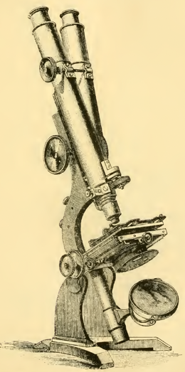 A picture containing old
Description automatically generated