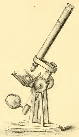 A picture containing text
Description automatically generated