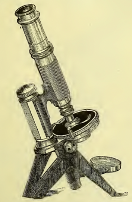 A close-up of a sword
Description automatically generated with low confidence