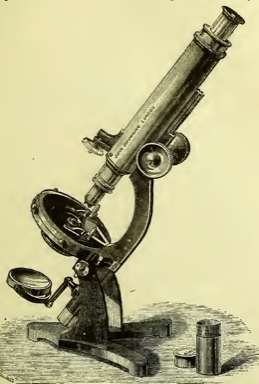 A close-up of an object
Description automatically generated with medium confidence