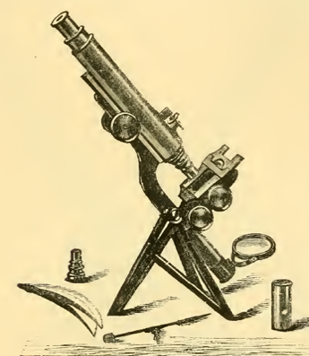 A picture containing text, weapon
Description automatically generated