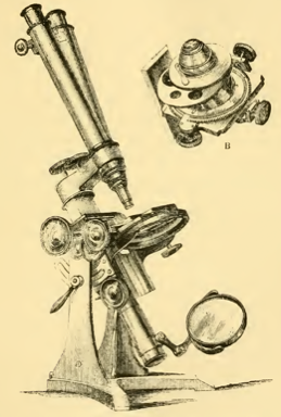 A picture containing text
Description automatically generated