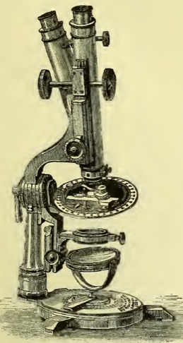 A picture containing indoor
Description automatically generated