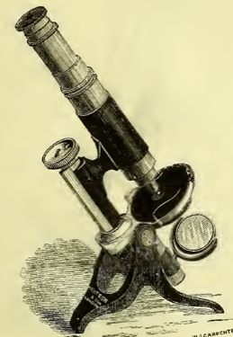 A close-up of a gavel
Description automatically generated with low confidence