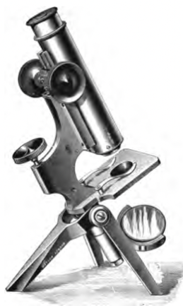 A close-up of an object
Description automatically generated with medium confidence