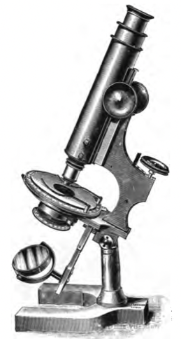 A close-up of an object
Description automatically generated with low confidence