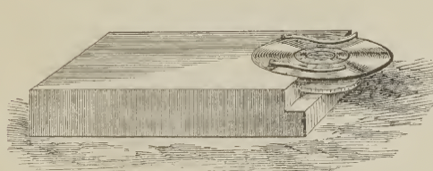 A picture containing text
Description automatically generated
