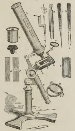 A picture containing text
Description automatically generated