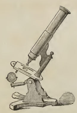 A picture containing text
Description automatically generated