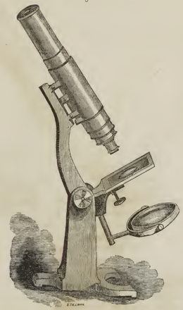 A picture containing old
Description automatically generated