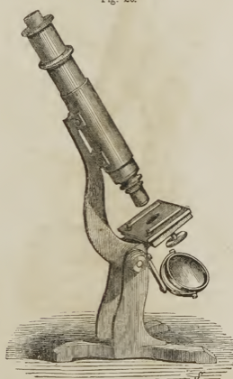 A picture containing text
Description automatically generated
