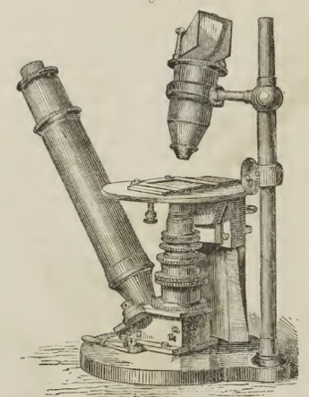 A picture containing text
Description automatically generated