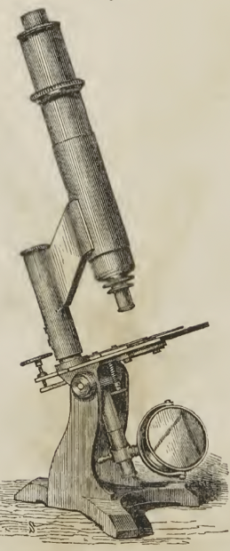 A picture containing indoor, old
Description automatically generated