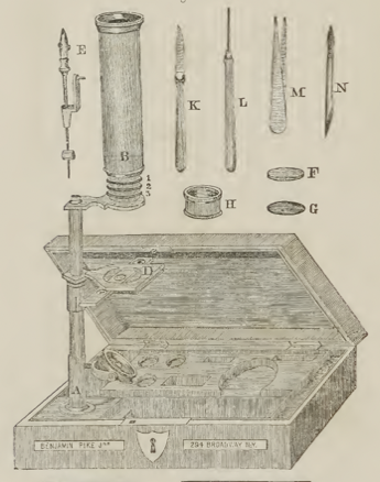 A picture containing text
Description automatically generated