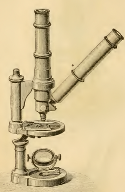 A picture containing indoor
Description automatically generated