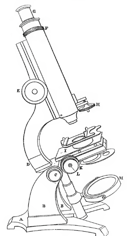 A picture containing linedrawing, clipart
Description automatically generated