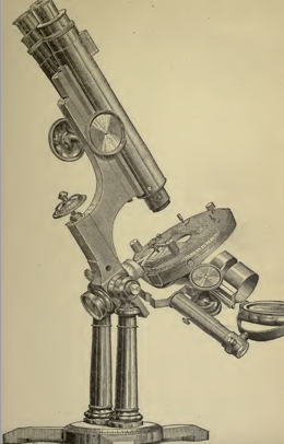 A picture containing wall, weapon, old
Description automatically generated
