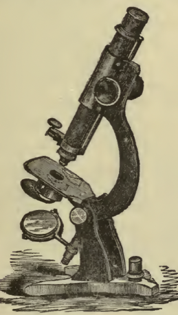 A picture containing text, old, vintage
Description automatically generated
