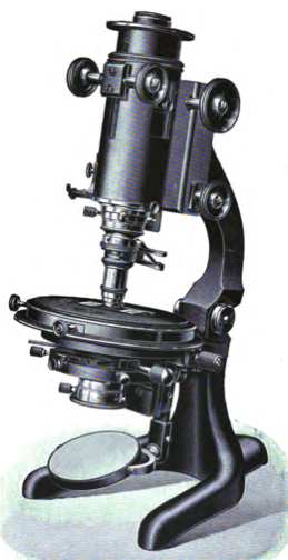 A picture containing silver
Description automatically generated