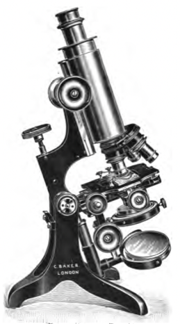 A close-up of an object
Description automatically generated with medium confidence